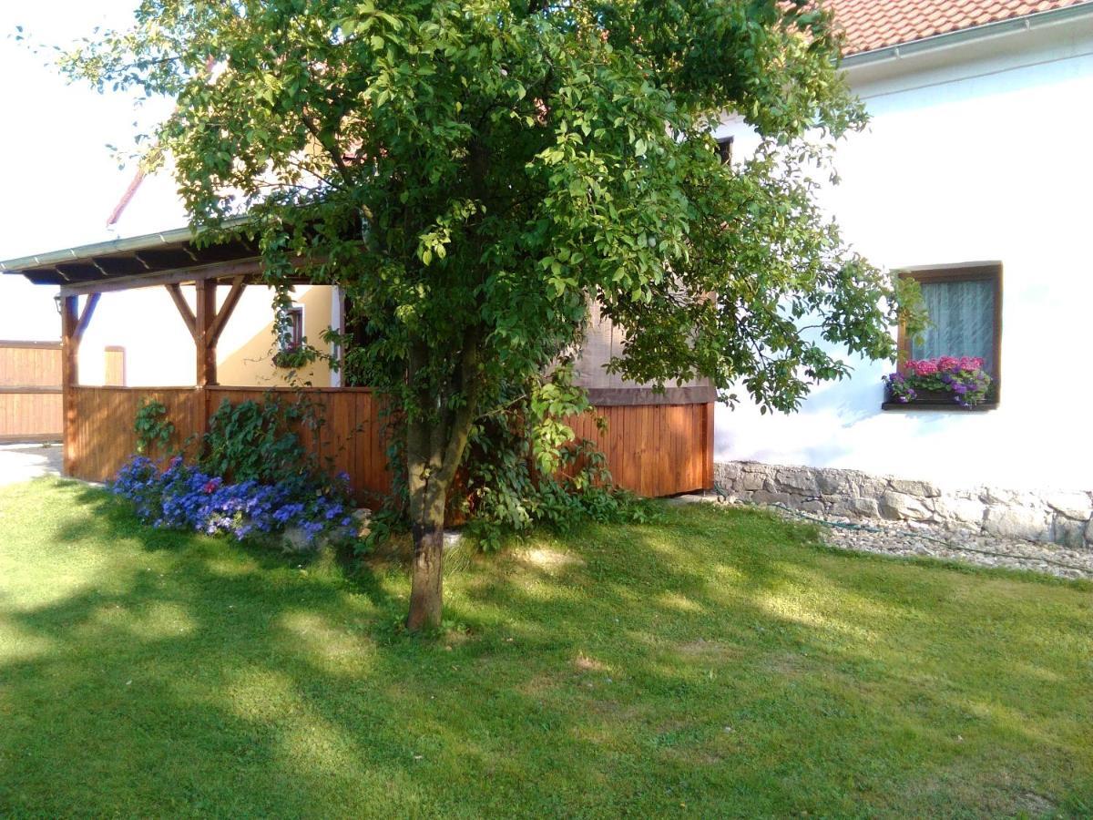 Pension Otevek Trhové Sviny Exterior foto